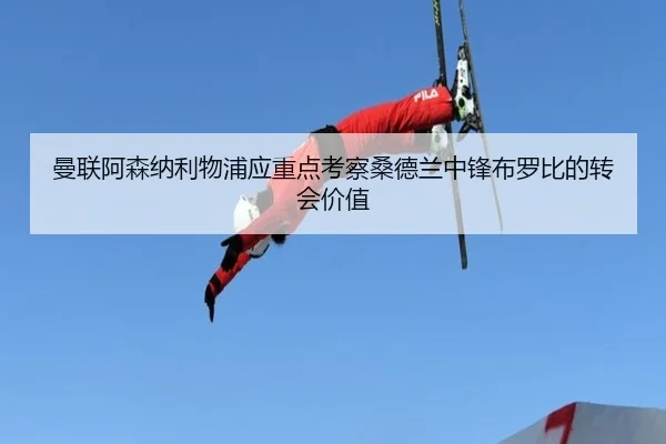曼联阿森纳利物浦应重点考察桑德兰中锋布罗比的转会价值
